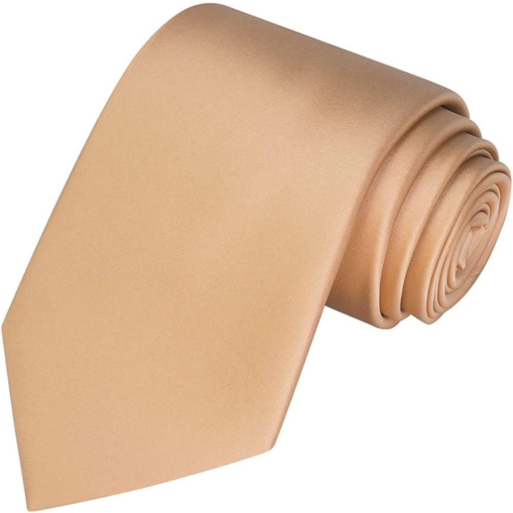 KissTies Solid Satin Tie Pure Color Necktie Mens Ties + Gift Box | Multiple Colors - G