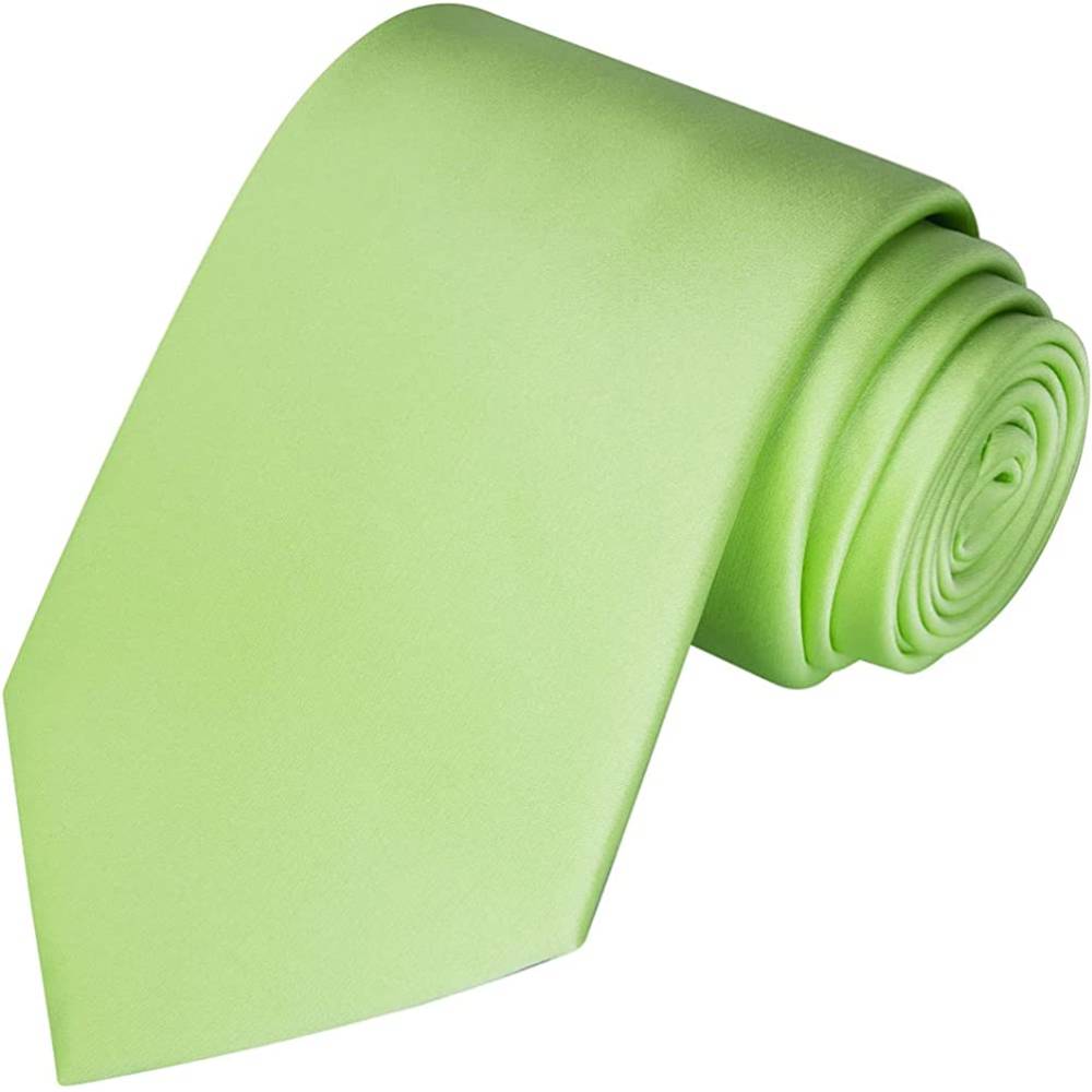KissTies Solid Satin Tie Pure Color Necktie Mens Ties + Gift Box | Multiple Colors - LIGR