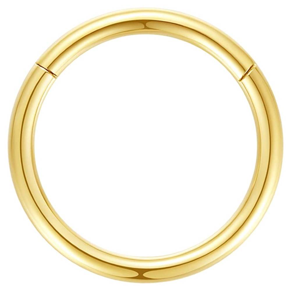 ORANGELOVE Hypoallergenic Nose Rings 20G 18G 16G 14G 12G 10G 8G 316l Surgical Steel Septum Jewelry Hinged Segment Ring Body Piercing Nose Hoop Lip Rings Nose Helix Cartilage Rook Earrings | Multiple Colors and Sizes - G