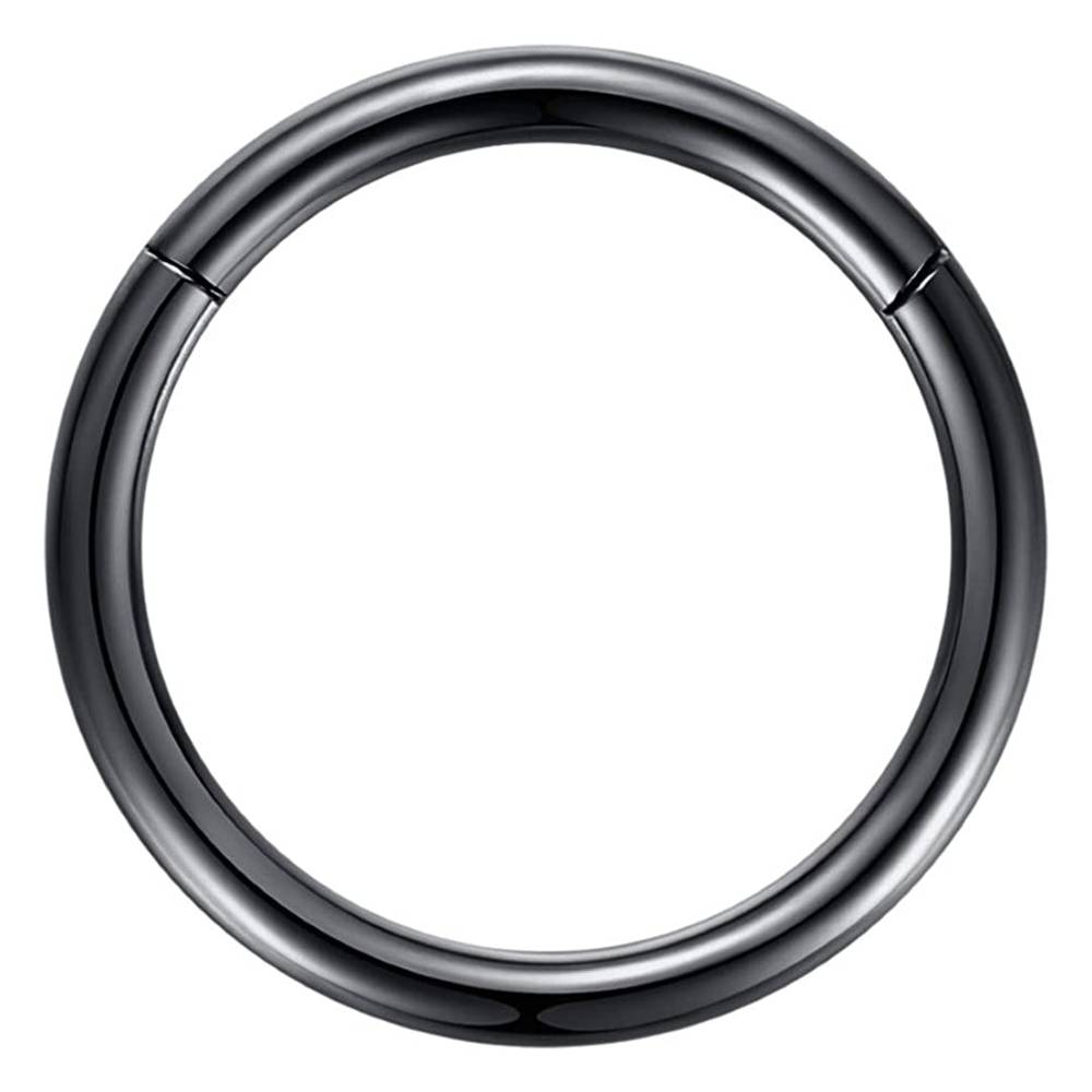 ORANGELOVE Hypoallergenic Nose Rings 20G 18G 16G 14G 12G 10G 8G 316l Surgical Steel Septum Jewelry Hinged Segment Ring Body Piercing Nose Hoop Lip Rings Nose Helix Cartilage Rook Earrings | Multiple Colors and Sizes - B