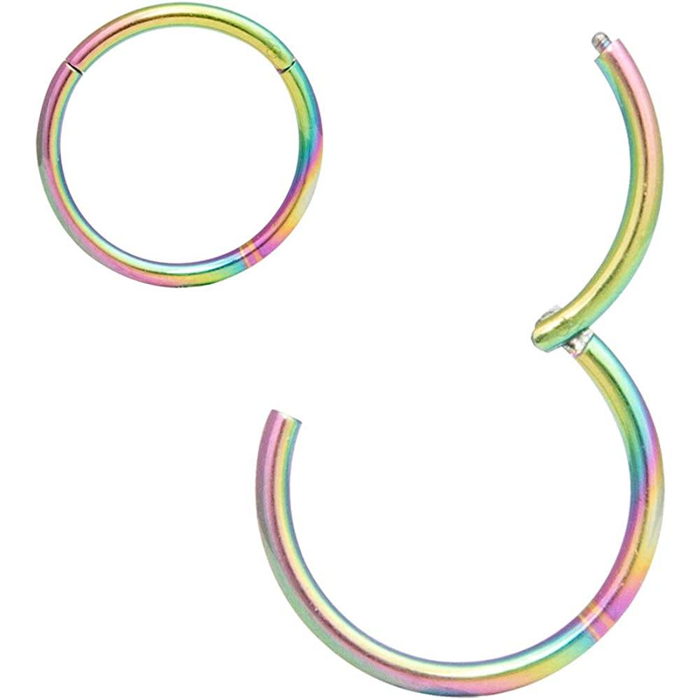 ORANGELOVE Hypoallergenic Nose Rings 20G 18G 16G 14G 12G 10G 8G 316l Surgical Steel Septum Jewelry Hinged Segment Ring Body Piercing Nose Hoop Lip Rings Nose Helix Cartilage Rook Earrings | Multiple Colors and Sizes - RW